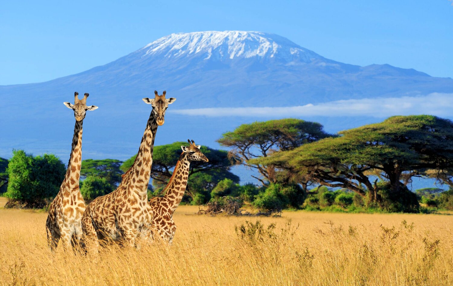 tanzania-paesaggi-monte-kilimanjaro-tour-safari-wadi-destination